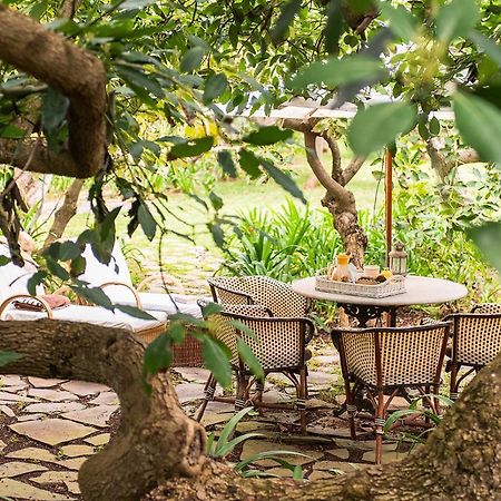 Homeforguest Cosy Rural Flat El Romero With Large Gardens Tacoronte Dış mekan fotoğraf